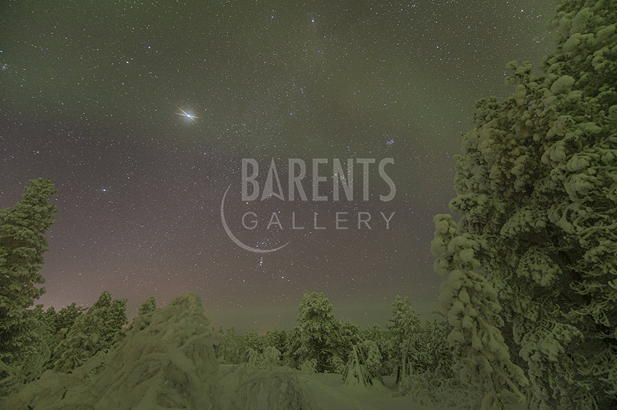 Betelgeuse i kald natt