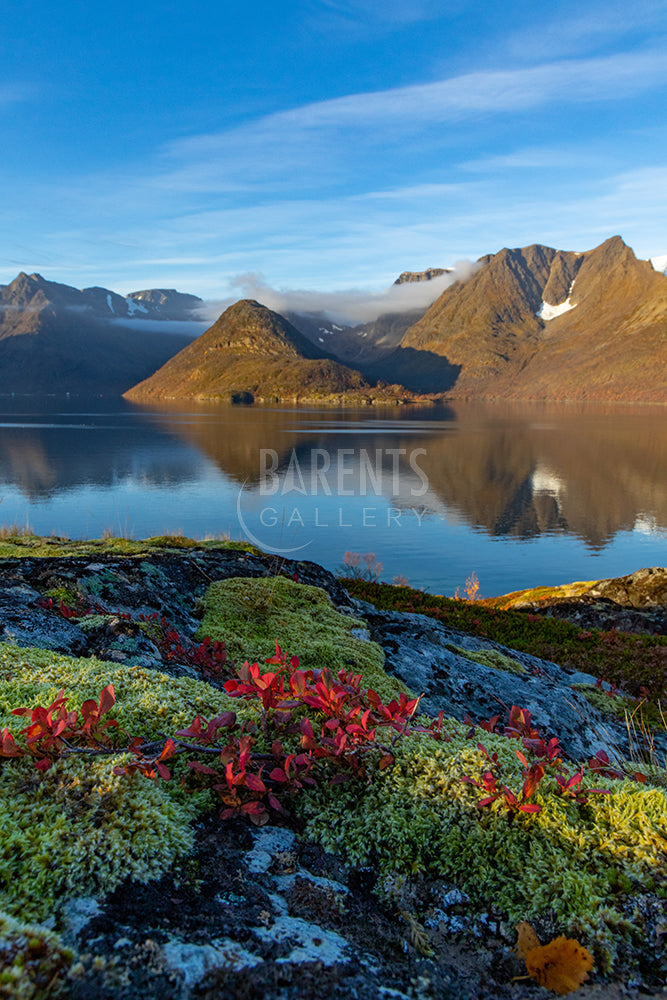 Høstfarger