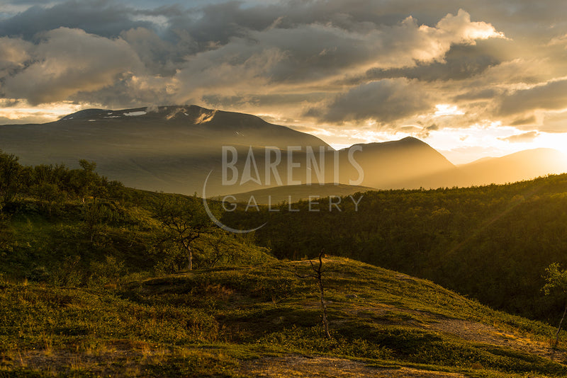 Kveldslys over Dividalen