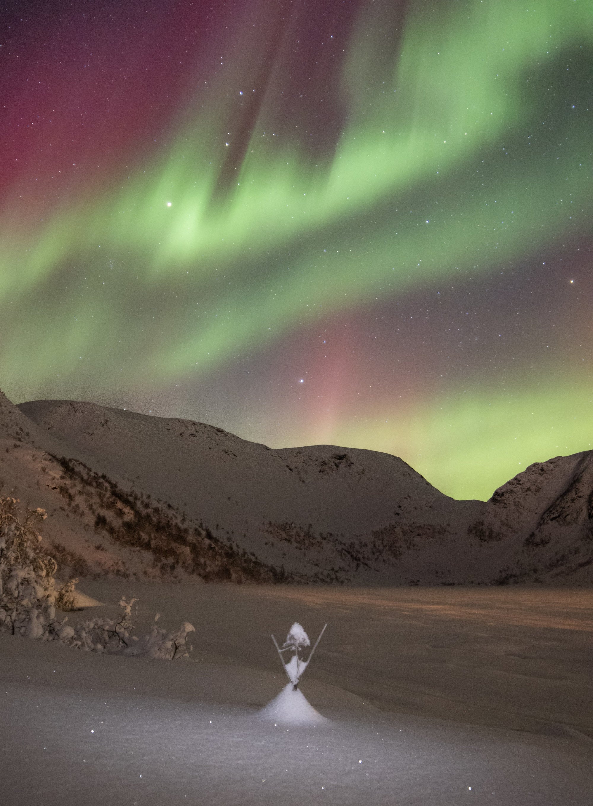 Ballerina under nordlys