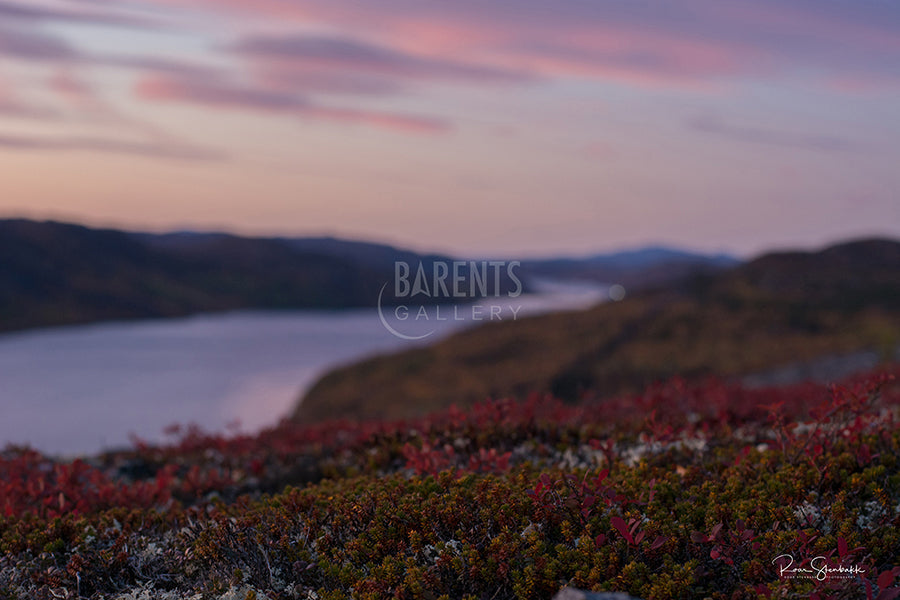Utsikt langfjorden