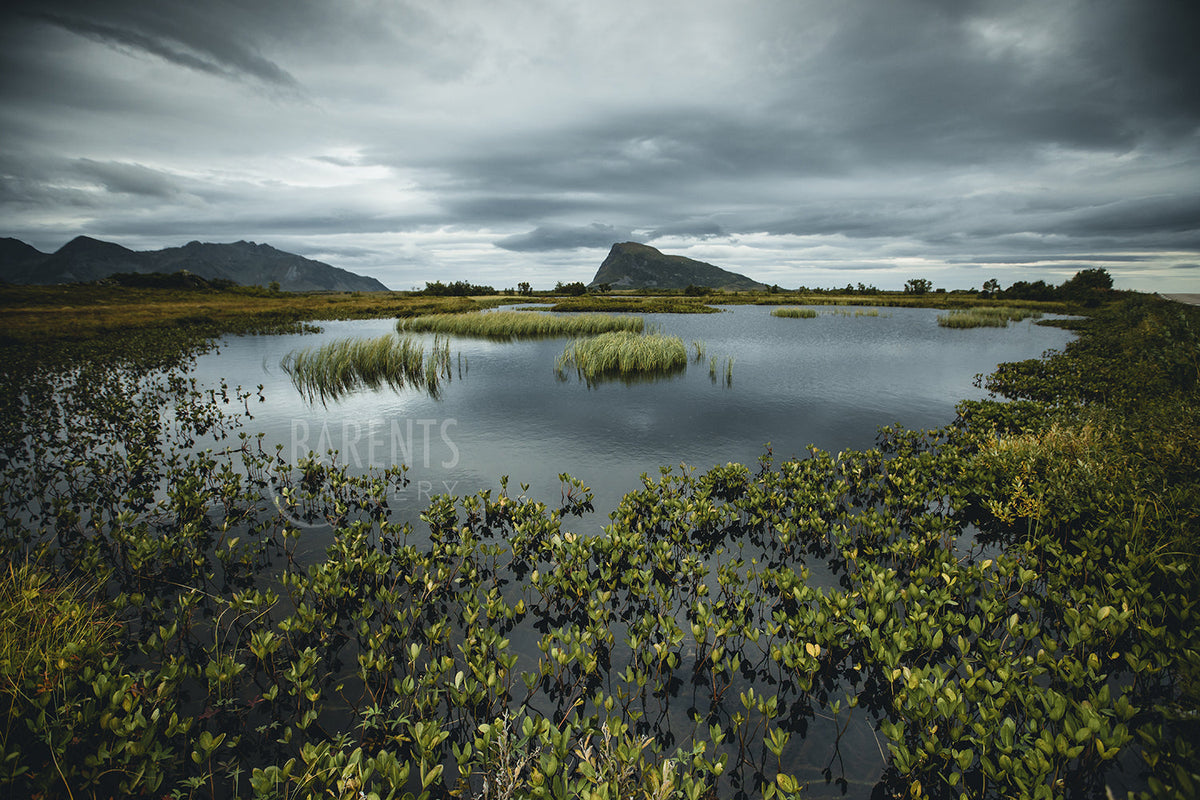 Gimsøya