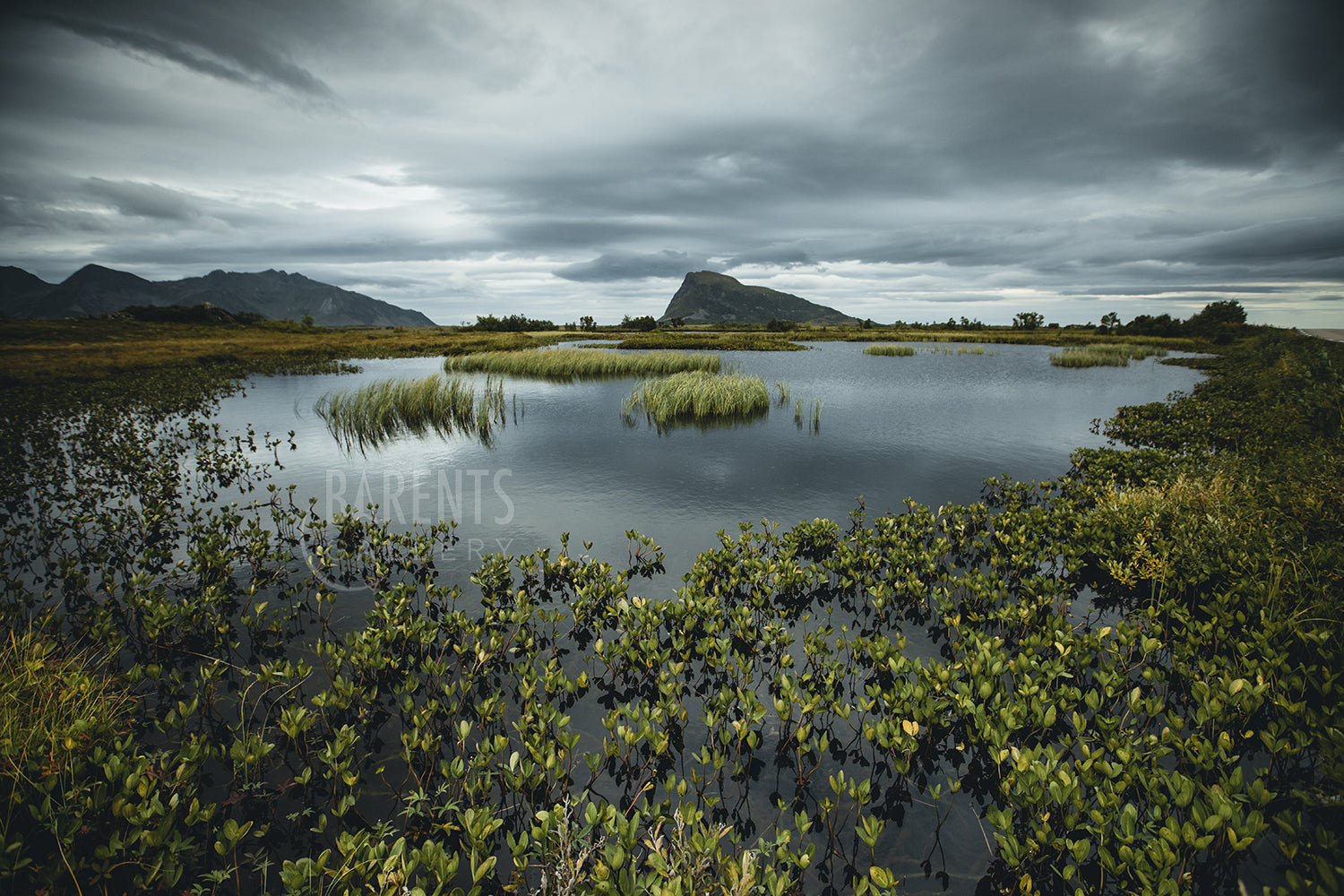 Gimsøya