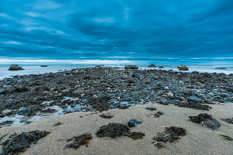 Grense Jakobselv møter Barentshavet