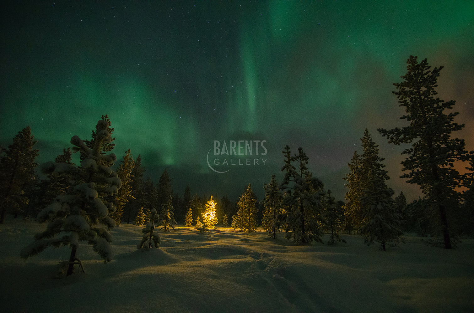 Julekveld i skogen