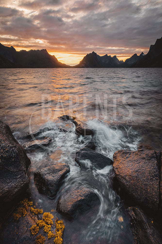 Lofoten vibes