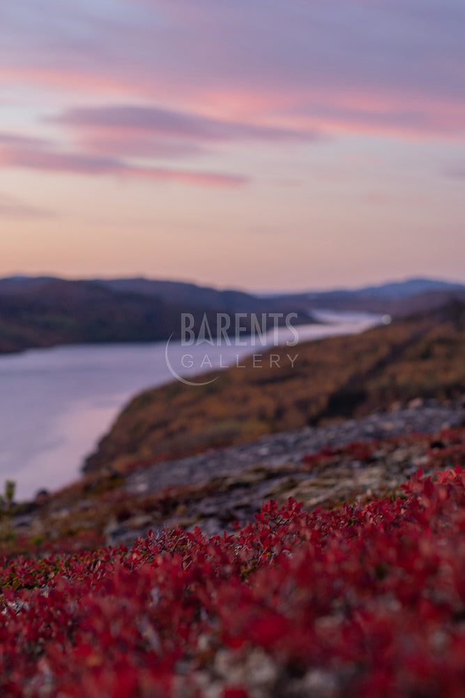 Langfjorden i høstfarger