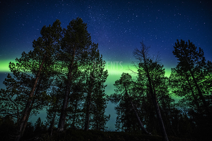 Nordlys i Sevetti
