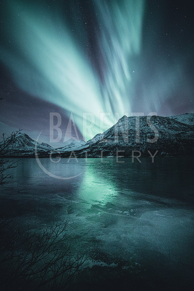 Nakkevatnet nordlys