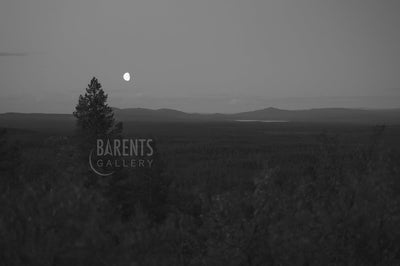 Øvre Pasvik nasjonalpark