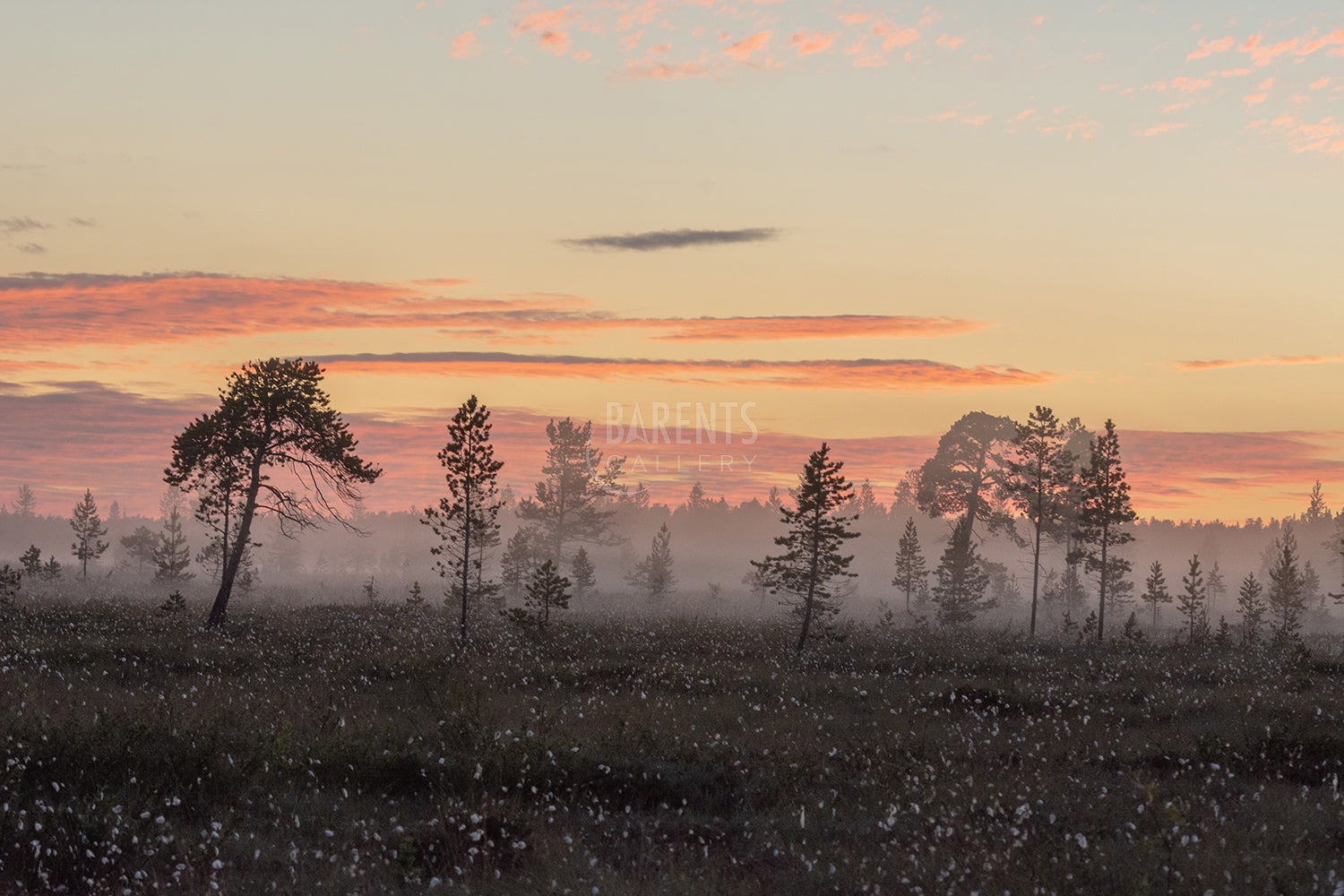 Skrøytnes i tåke