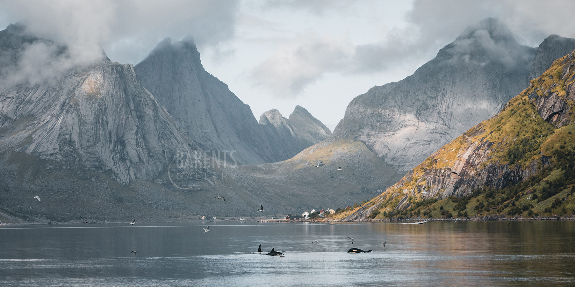Spekkhogger i landskap