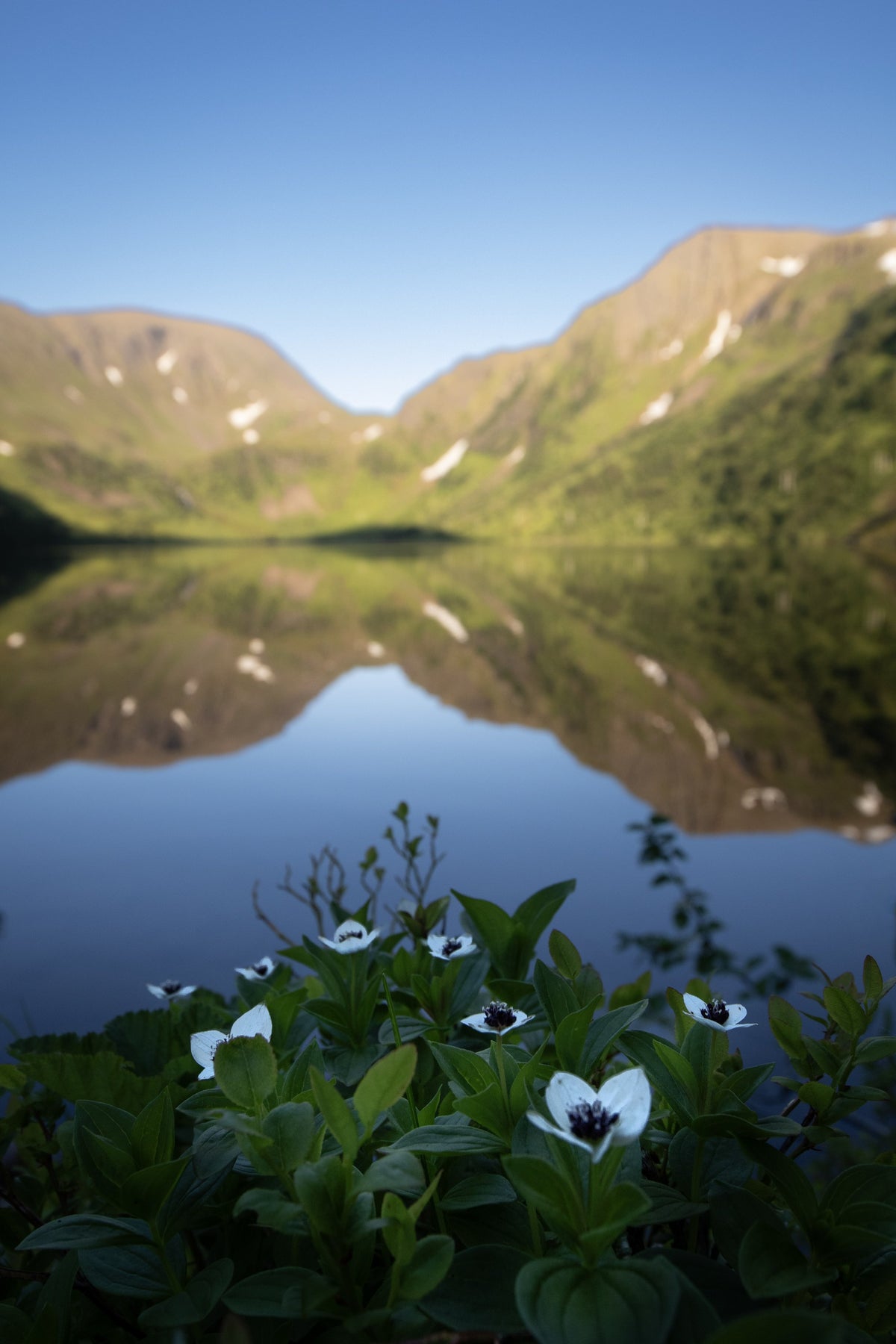 Stille vann