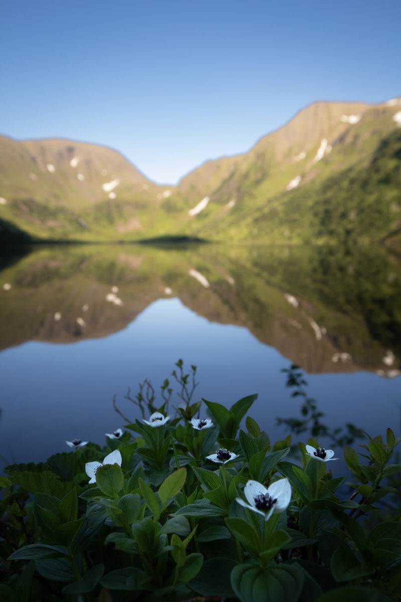 Stille vann