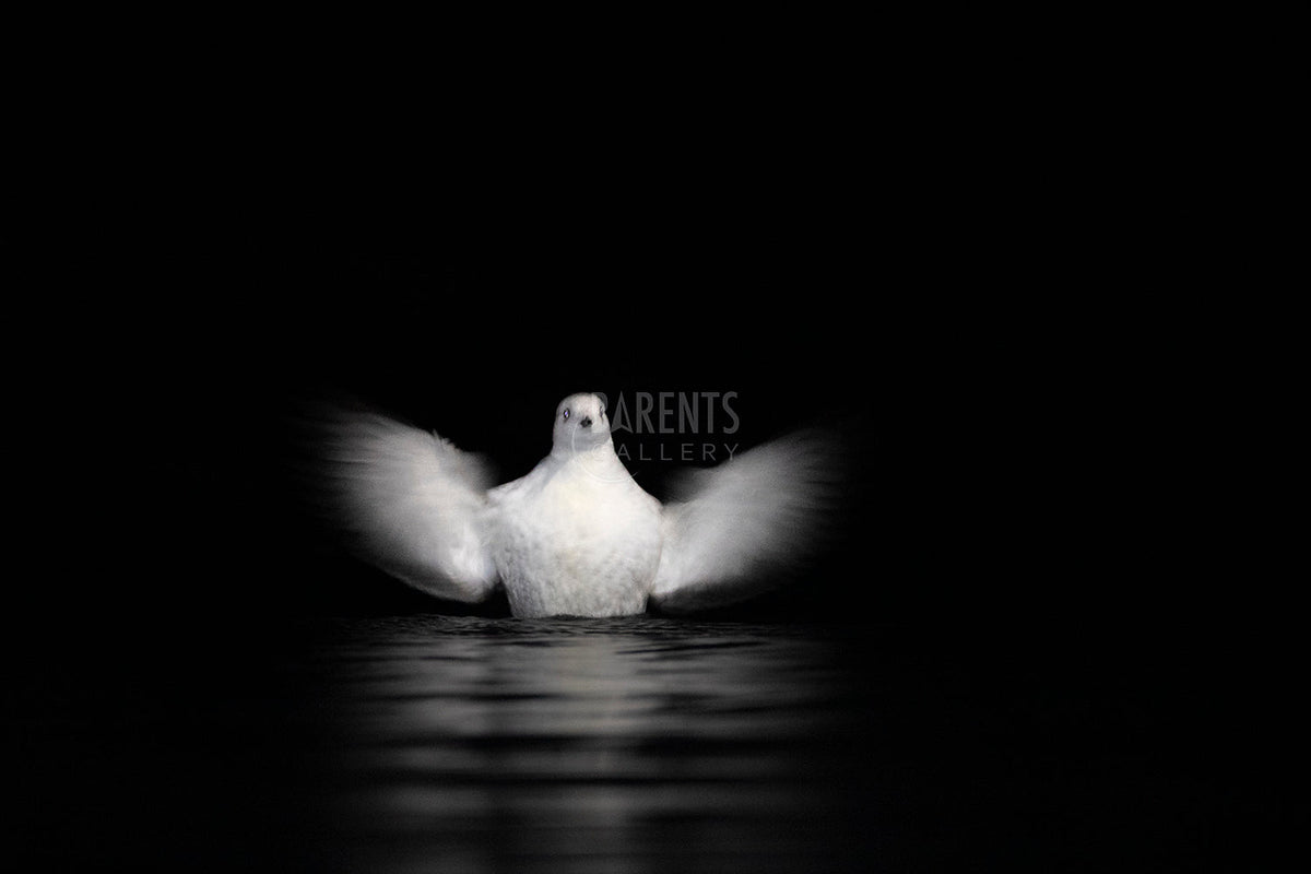 Teist ghost