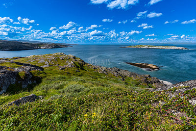 Varangerfjorden fra Sankarineset