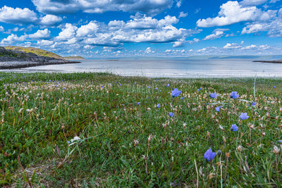 Varangerfjorden fra Storsanden