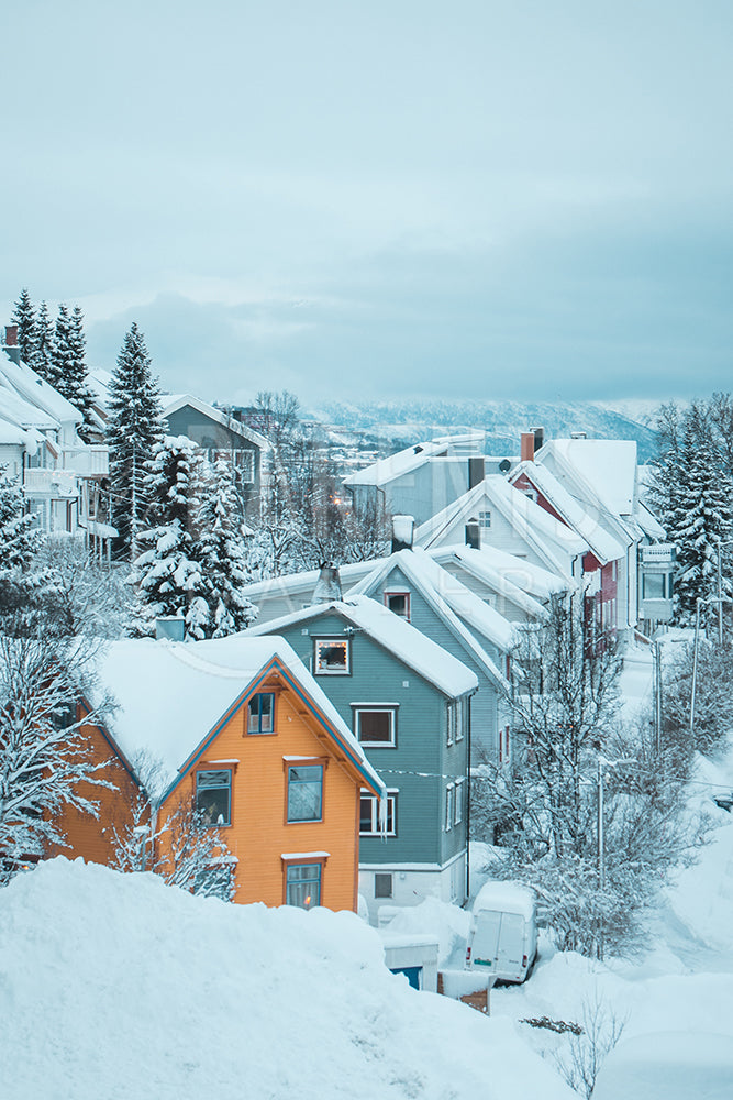 Winter wonderland
