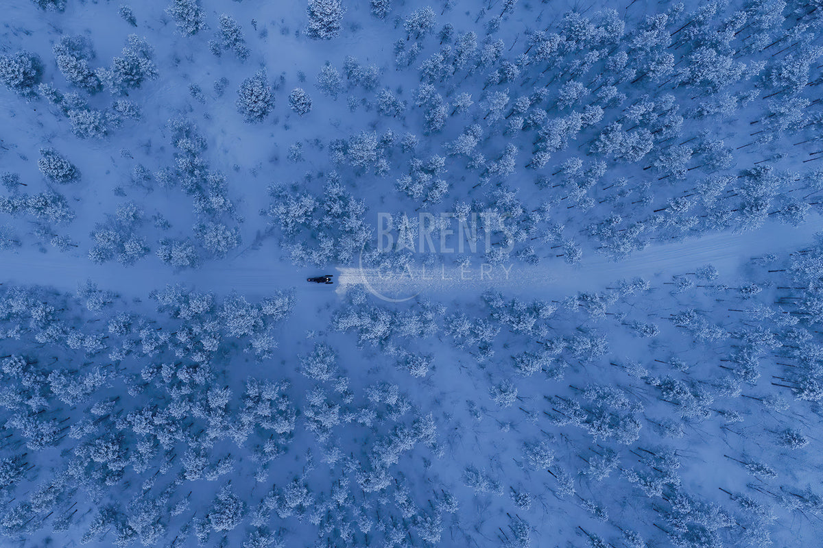 Alene gjennom skogen