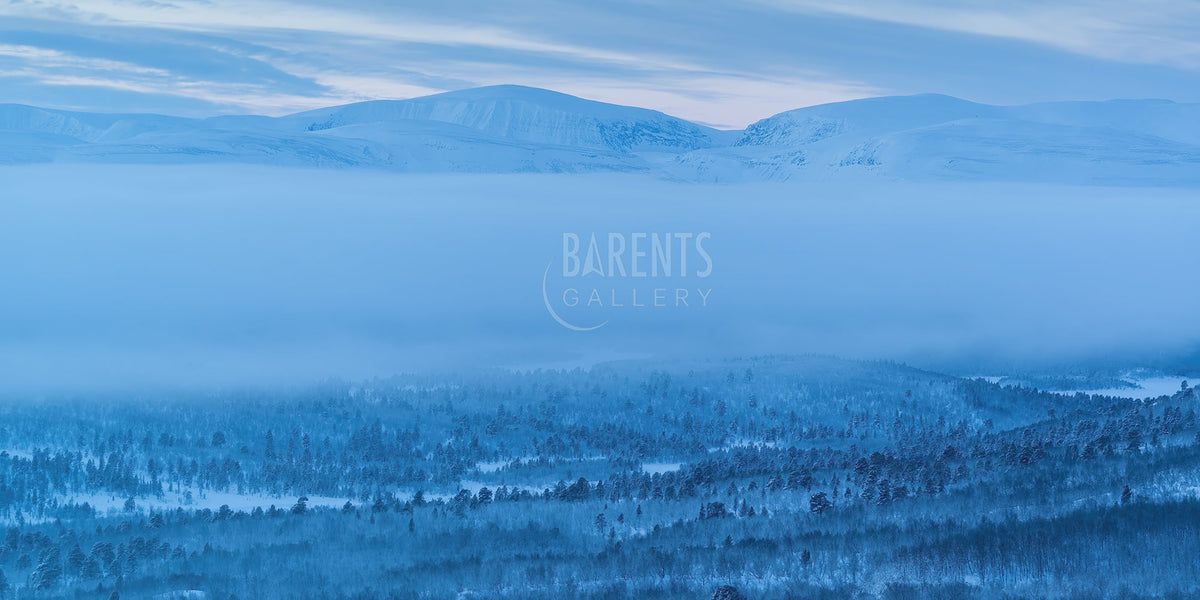 Frosttåke over vinterland