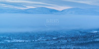 Frosttåke over vinterland