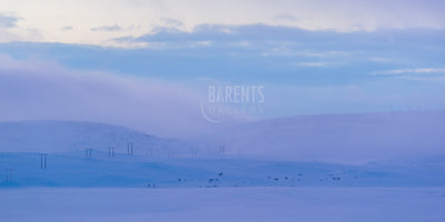 Kraftlinje over vidda