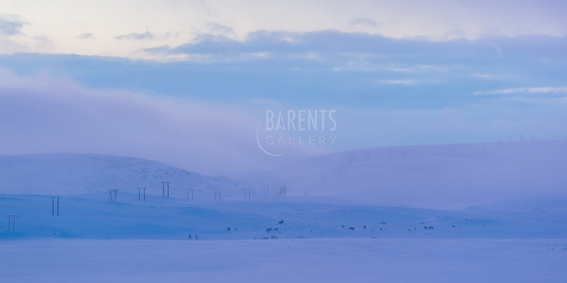 Kraftlinje over vidda