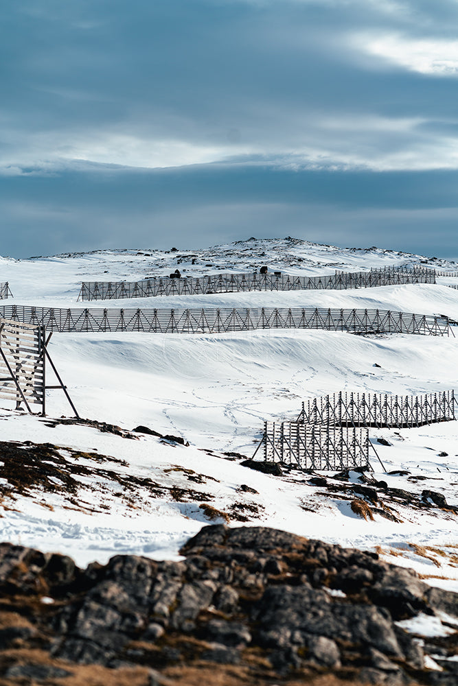 Snøskjermer