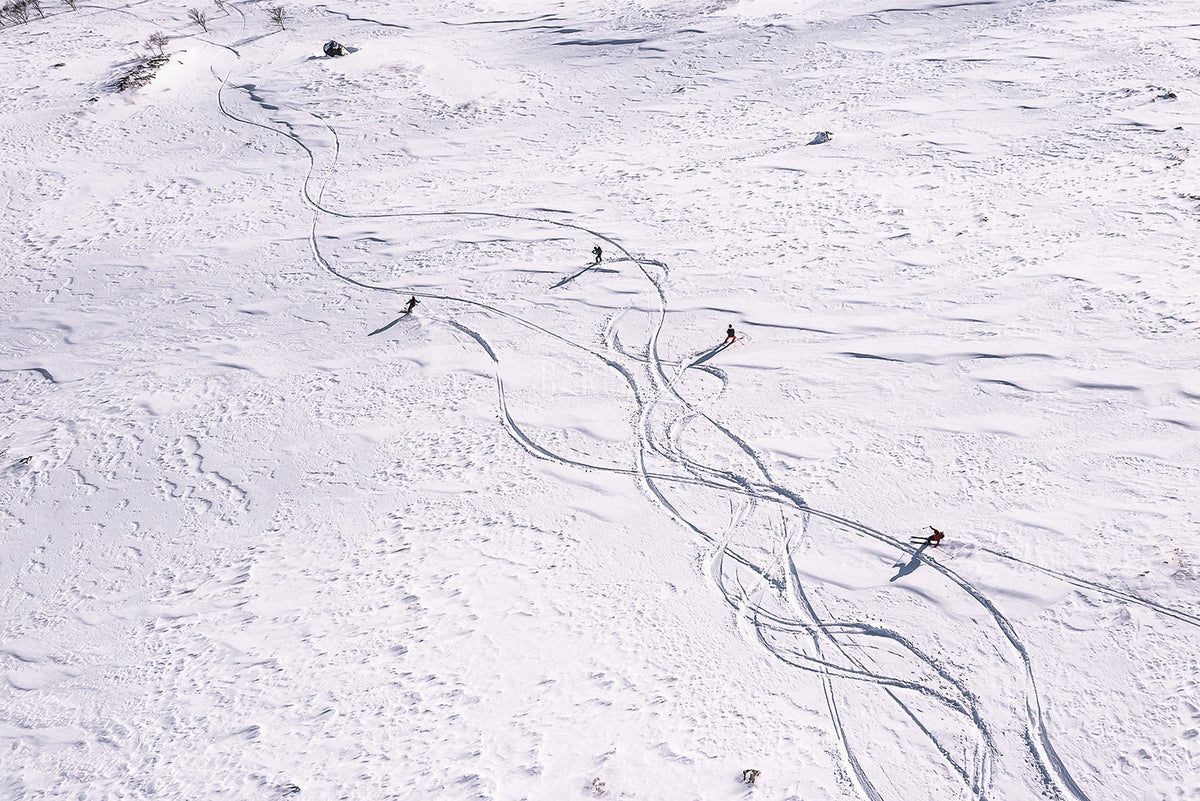 Nye linjer