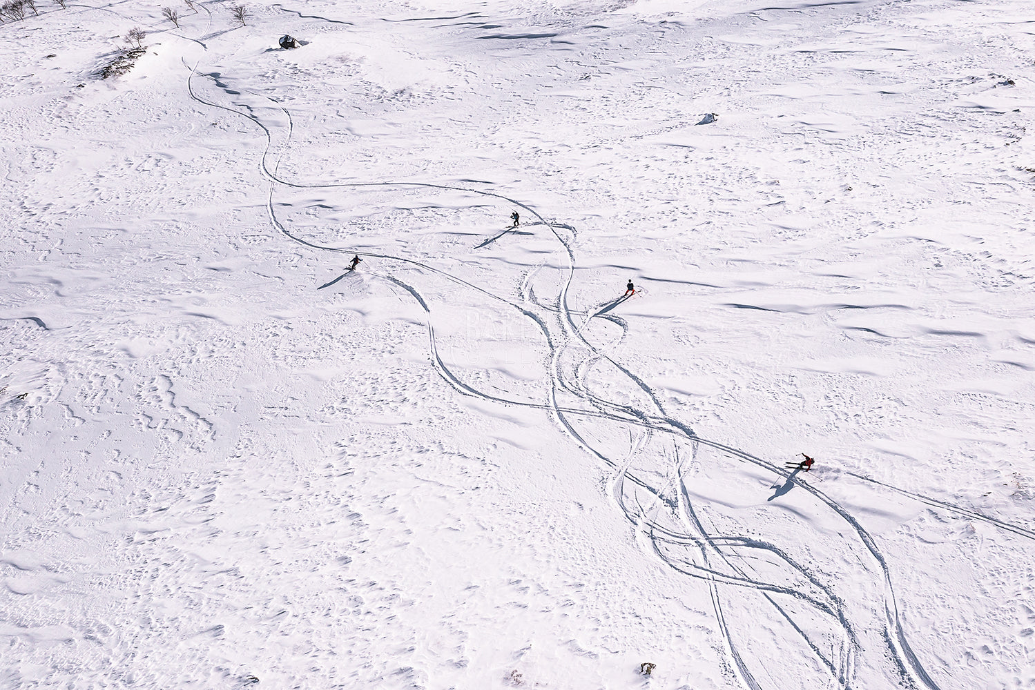 Nye linjer