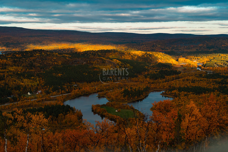 Skoganvarre fra Stalločohkka