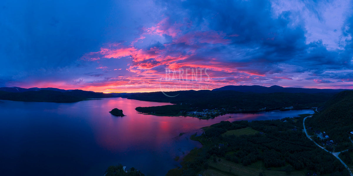 Skoganvarre i solnedgang