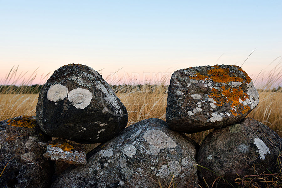 Steingjerde