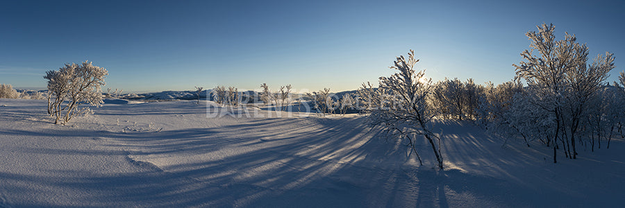 Vinterstemning