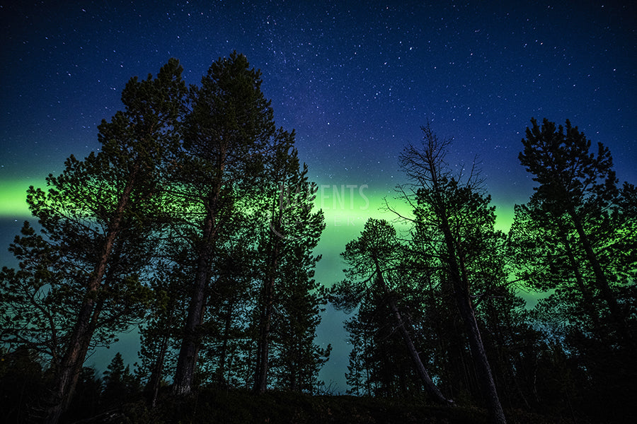 Nordlys i Sevetti