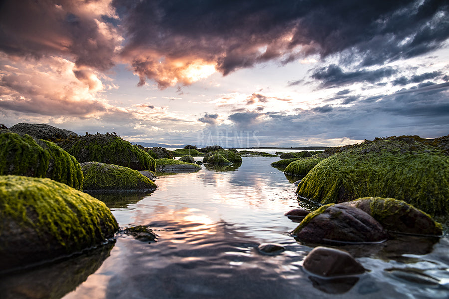 Ekkerøy