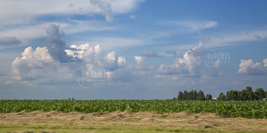 Skies of blue