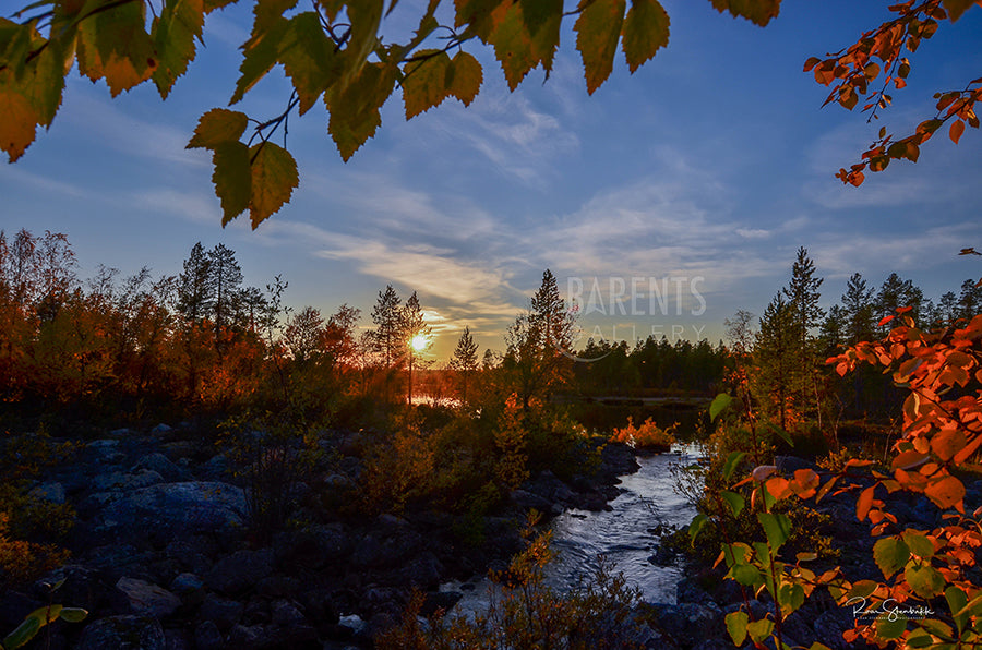 Høst Gjøkåsen