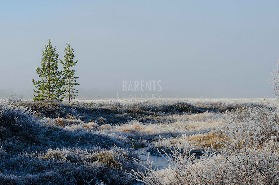 Frost på Skrøytnes