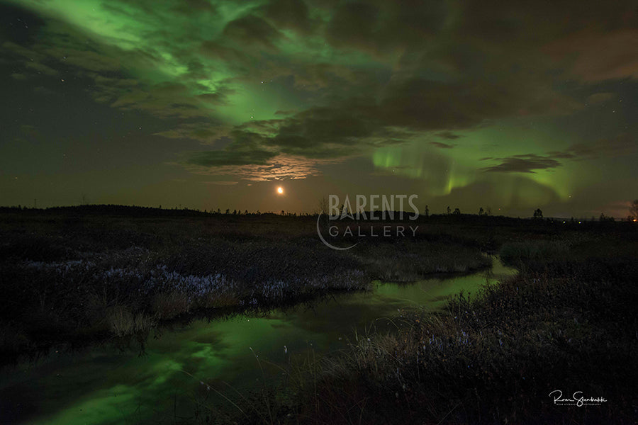 Nordlys over Skrøytnesmyra